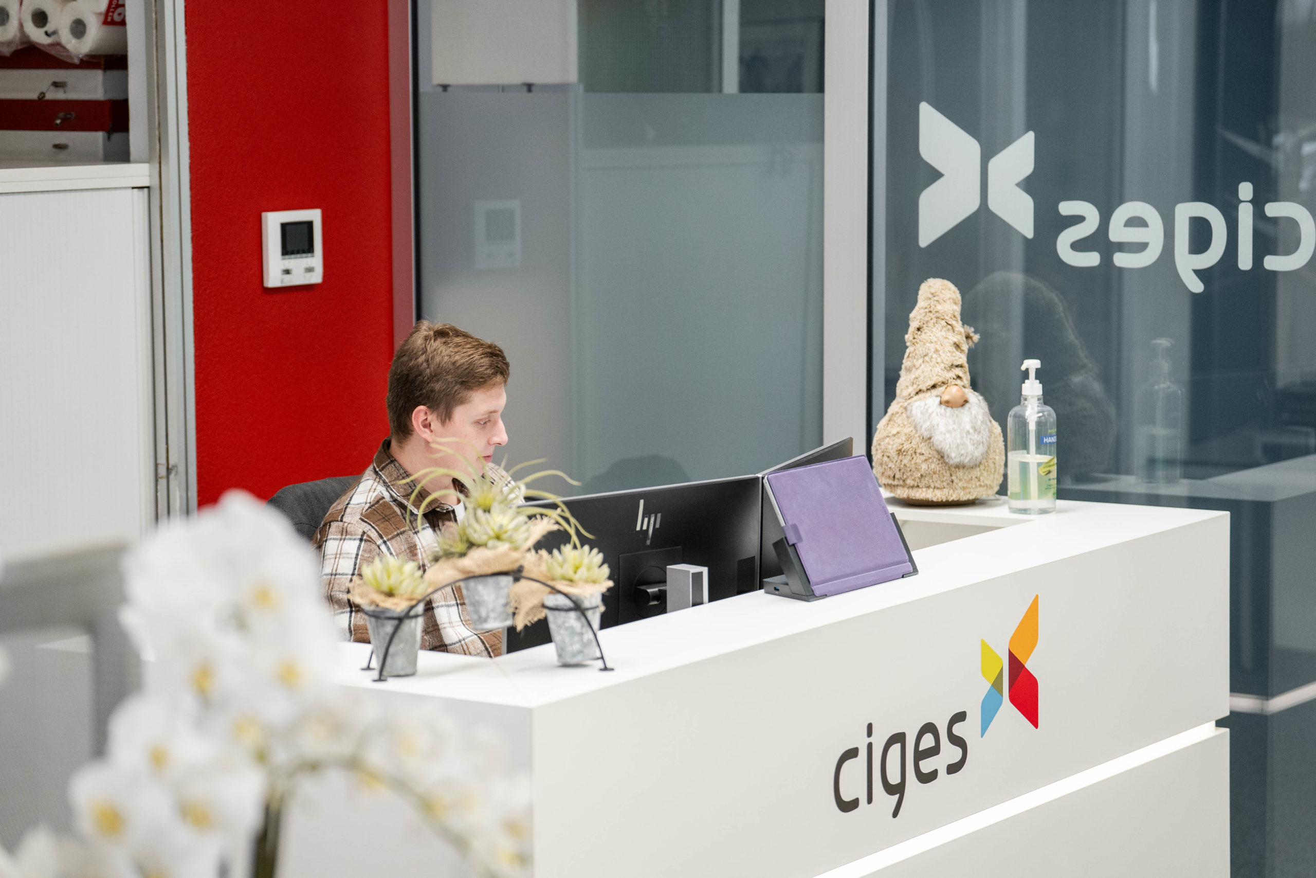 ciges sion